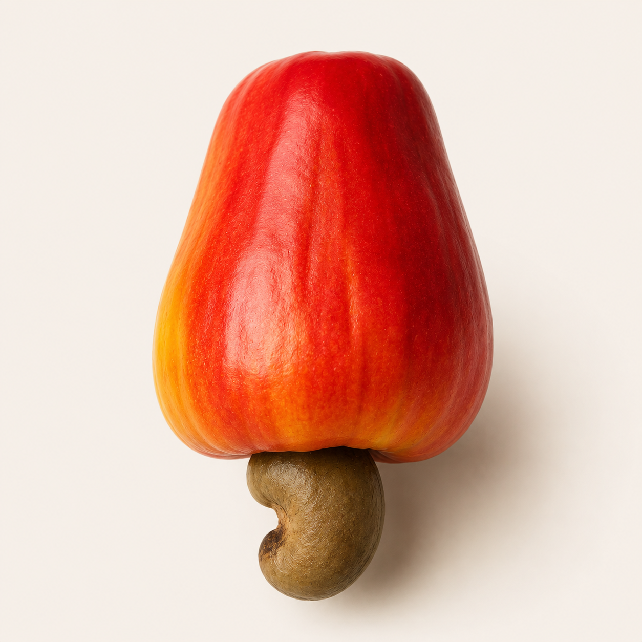 Caju (cashew fruit) — editorial still life in deep terracotta and golden orange tones